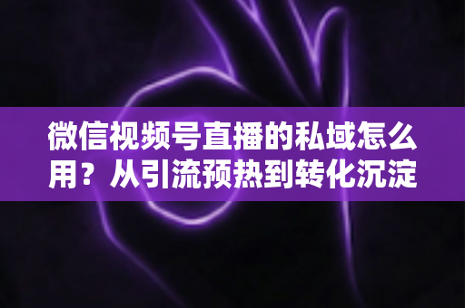 微信视频号直播的私域怎么用?从引流预热到转化沉淀的全链路私域运营实战指南 微信视频号直播的私域怎么用?从引流预热到转化沉淀的全链路私域运营实战指南