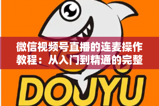 微信视频号直播的连麦操作教程:从入门到精通的完整指南,新手主播一看就会 微信视频号直播的连麦操作教程:从入门到精通的完整指南,新手主播一看就会