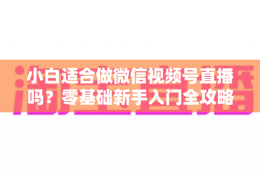 小白适合做微信视频号直播吗？零基础新手入门全攻略与真实避坑指南