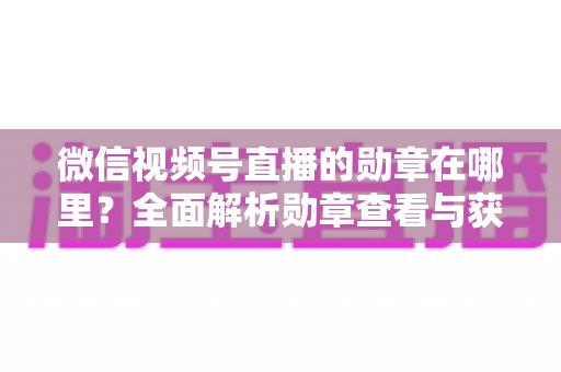 微信视频号直播的勋章在哪里？全面解析勋章查看与获取攻略