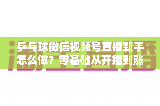 乒乓球微信视频号直播新手怎么做?零基础从开播到涨粉的完整实操指南 乒乓球微信视频号直播新手怎么做?零基础从开播到涨粉的完整实操指南