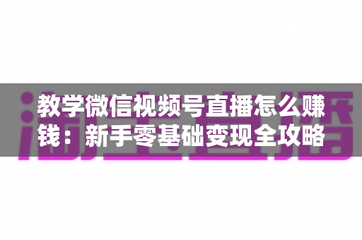 教学微信视频号直播怎么赚钱：新手零基础变现全攻略与实操指南