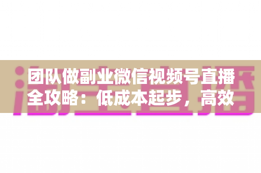 团队做副业微信视频号直播全攻略：低成本起步，高效变现，打造可持续增收的直播小团队