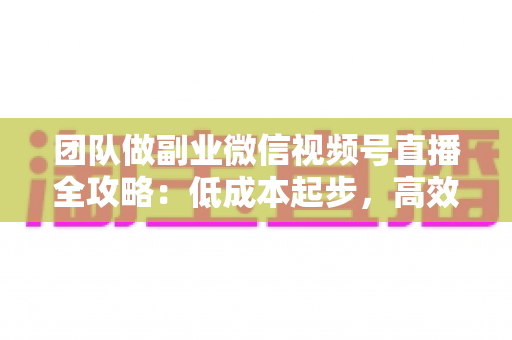 团队做副业微信视频号直播全攻略：低成本起步，高效变现，打造可持续增收的直播小团队