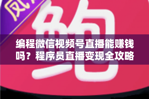 编程微信视频号直播能赚钱吗?程序员直播变现全攻略与真实收入深度解析 编程微信视频号直播能赚钱吗?程序员直播变现全攻略与真实收入深度解析