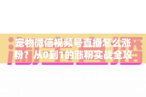 宠物微信视频号直播怎么涨粉?从0到1的涨粉实战全攻略 宠物微信视频号直播怎么涨粉?从0到1的涨粉实战全攻略