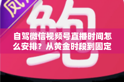 自驾微信视频号直播时间怎么安排?从黄金时段到固定排期的全流程实战指南 自驾微信视频号直播时间怎么安排?从黄金时段到固定排期的全流程实战指南