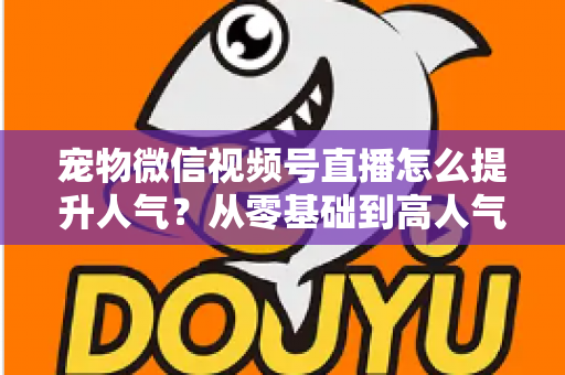 宠物微信视频号直播怎么提升人气?从零基础到高人气直播间的实战涨粉指南 宠物微信视频号直播怎么提升人气?从零基础到高人气直播间的实战涨粉指南