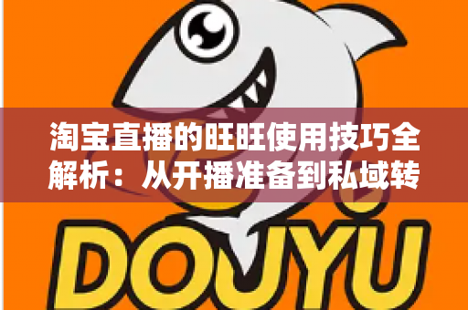 淘宝直播的旺旺使用技巧全解析：从开播准备到私域转化的实战指南