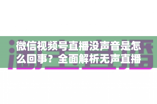 微信视频号直播没声音是怎么回事?全面解析无声直播的原因与实用解决方案 微信视频号直播没声音是怎么回事?全面解析无声直播的原因与实用解决方案