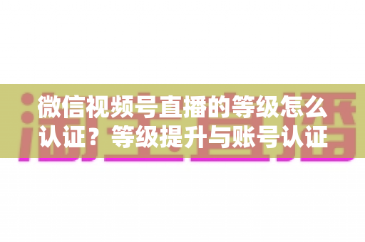 微信视频号直播的等级怎么认证？等级提升与账号认证全流程详解指南