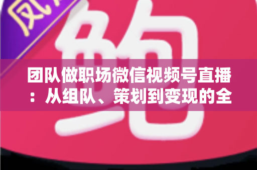 团队做职场微信视频号直播：从组队、策划到变现的全流程实战指南