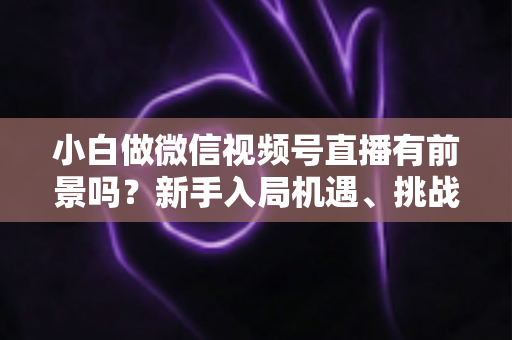 小白做微信视频号直播有前景吗？新手入局机遇、挑战与实操指南全面解析