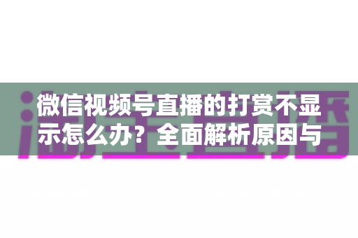 微信视频号直播的打赏不显示怎么办?全面解析原因与实用解决方案 微信视频号直播的打赏不显示怎么办?全面解析原因与实用解决方案