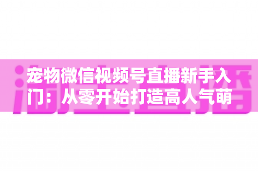 宠物微信视频号直播新手入门:从零开始打造高人气萌宠直播间的完整指南 宠物微信视频号直播新手入门:从零开始打造高人气萌宠直播间的完整指南