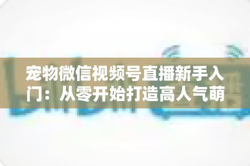 宠物微信视频号直播新手入门：从零开始打造高人气萌宠直播间的完整指南