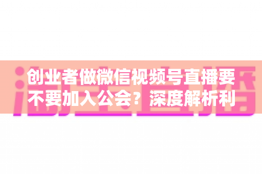 创业者做微信视频号直播要不要加入公会？深度解析利弊与最优选择策略