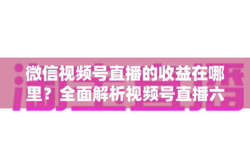 微信视频号直播的收益在哪里?全面解析视频号直播六大变现渠道与提现攻略 微信视频号直播的收益在哪里?全面解析视频号直播六大变现渠道与提现攻略