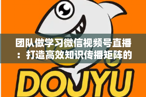 团队做学习微信视频号直播：打造高效知识传播矩阵的实战指南