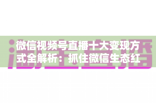微信视频号直播十大变现方式全解析:抓住微信生态红利,普通人也能靠直播赚钱的实战指南 微信视频号直播十大变现方式全解析:抓住微信生态红利,普通人也能靠直播赚钱的实战指南