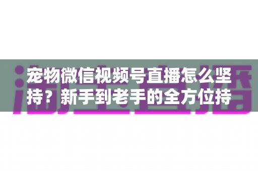宠物微信视频号直播怎么坚持?新手到老手的全方位持久运营指南 宠物微信视频号直播怎么坚持?新手到老手的全方位持久运营指南
