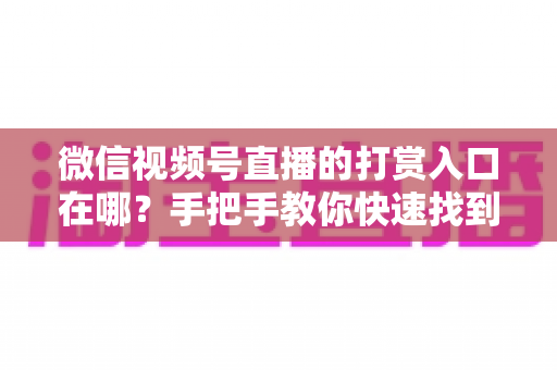 微信视频号直播的打赏入口在哪?手把手教你快速找到打赏位置并完成打赏的全流程指南 微信视频号直播的打赏入口在哪?手把手教你快速找到打赏位置并完成打赏的全流程指南