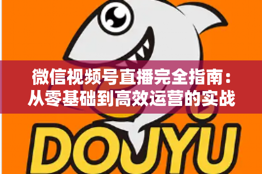 微信视频号直播完全指南:从零基础到高效运营的实战攻略与变现秘籍 微信视频号直播完全指南:从零基础到高效运营的实战攻略与变现秘籍