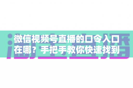 微信视频号直播的口令入口在哪？手把手教你快速找到直播口令入口的完整实用指南