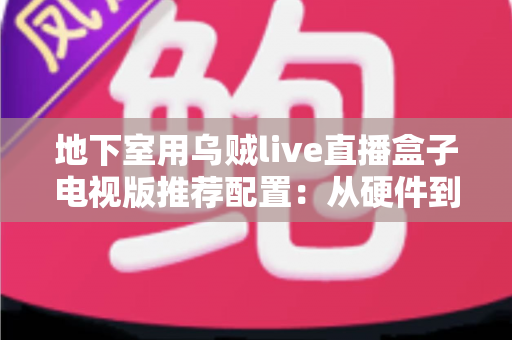 地下室用乌贼live直播盒子电视版推荐配置：从硬件到网络的完整优化指南