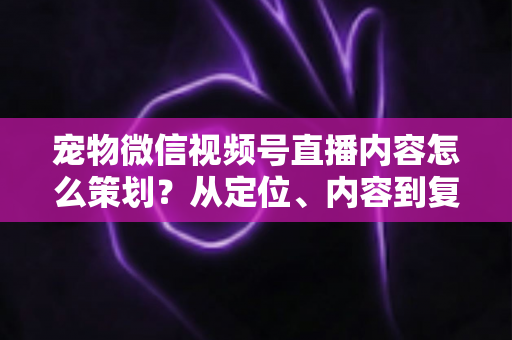 宠物微信视频号直播内容怎么策划?从定位、内容到复盘的全流程实战攻略 宠物微信视频号直播内容怎么策划?从定位、内容到复盘的全流程实战攻略