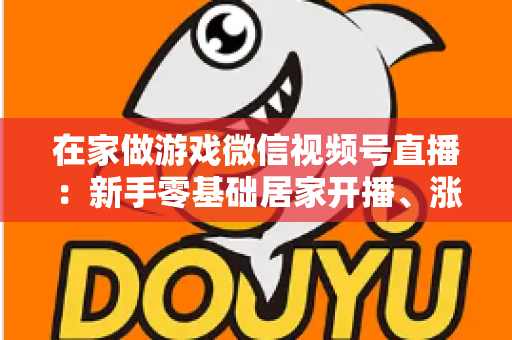 在家做游戏微信视频号直播:新手零基础居家开播、涨粉与变现全攻略 在家做游戏微信视频号直播:新手零基础居家开播、涨粉与变现全攻略