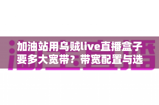 加油站用乌贼live直播盒子要多大宽带？带宽配置与选择全攻略