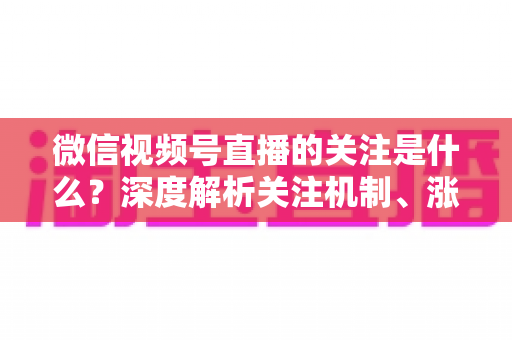 微信视频号直播的关注是什么?深度解析关注机制、涨粉价值与实用运营攻略 微信视频号直播的关注是什么?深度解析关注机制、涨粉价值与实用运营攻略