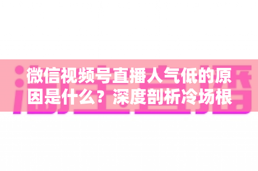 微信视频号直播人气低的原因是什么?深度剖析冷场根源与人气提升全攻略 微信视频号直播人气低的原因是什么?深度剖析冷场根源与人气提升全攻略