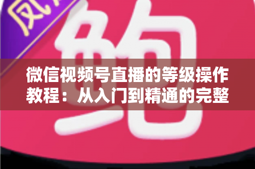 微信视频号直播的等级操作教程：从入门到精通的完整攻略与实操指南