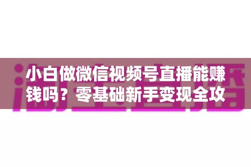 小白做微信视频号直播能赚钱吗?零基础新手变现全攻略 小白做微信视频号直播能赚钱吗?零基础新手变现全攻略