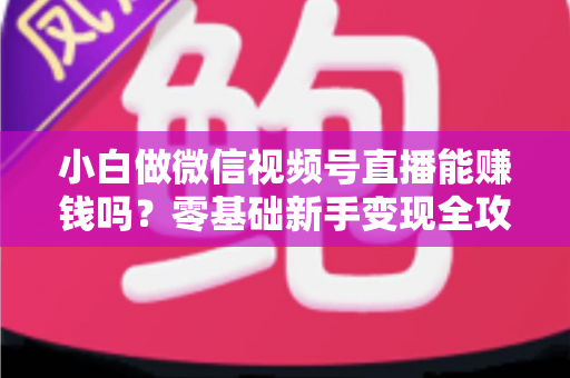 小白做微信视频号直播能赚钱吗?零基础新手变现全攻略 小白做微信视频号直播能赚钱吗?零基础新手变现全攻略