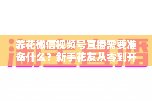 养花微信视频号直播需要准备什么?新手花友从零到开播的全流程准备指南 养花微信视频号直播需要准备什么?新手花友从零到开播的全流程准备指南