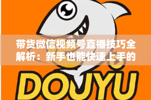 带货微信视频号直播技巧全解析：新手也能快速上手的实战指南