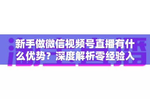 新手做微信视频号直播有什么优势?深度解析零经验入场的机会红利与破局指南 新手做微信视频号直播有什么优势?深度解析零经验入场的机会红利与破局指南