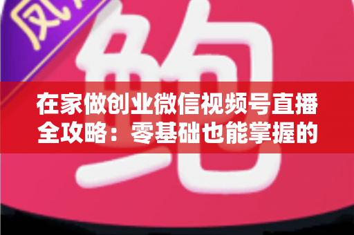在家做创业微信视频号直播全攻略:零基础也能掌握的居家赚钱新模式 在家做创业微信视频号直播全攻略:零基础也能掌握的居家赚钱新模式