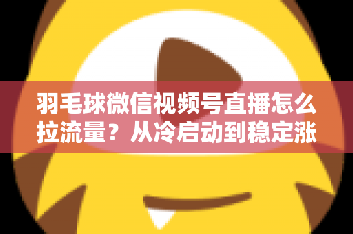 羽毛球微信视频号直播怎么拉流量?从冷启动到稳定涨粉的实战引流全攻略 羽毛球微信视频号直播怎么拉流量?从冷启动到稳定涨粉的实战引流全攻略