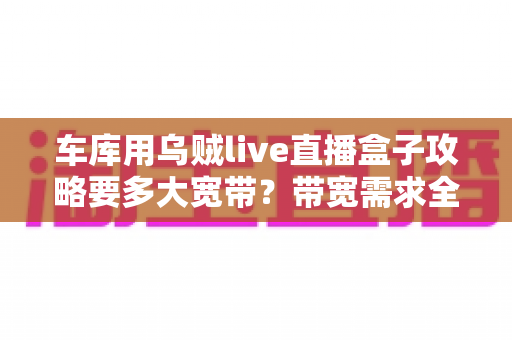 车库用乌贼live直播盒子攻略要多大宽带?带宽需求全解析与网络优化实用指南 车库用乌贼live直播盒子攻略要多大宽带?带宽需求全解析与网络优化实用指南