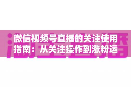 微信视频号直播的关注使用指南:从关注操作到涨粉运营的全方位解析 微信视频号直播的关注使用指南:从关注操作到涨粉运营的全方位解析