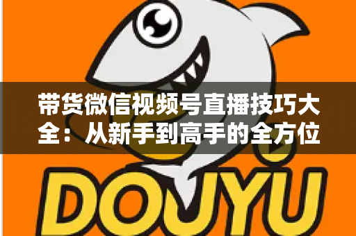 带货微信视频号直播技巧大全:从新手到高手的全方位实战指南 带货微信视频号直播技巧大全:从新手到高手的全方位实战指南