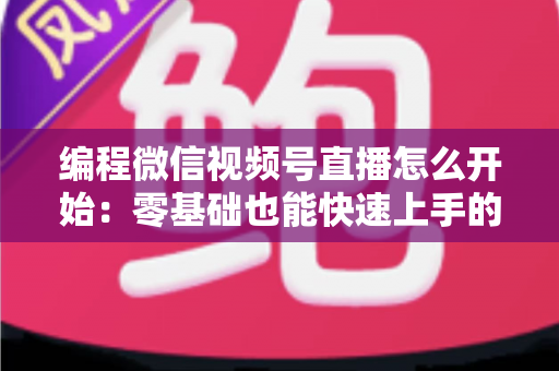 编程微信视频号直播怎么开始：零基础也能快速上手的开播全攻略