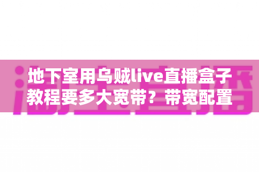 地下室用乌贼live直播盒子教程要多大宽带？带宽配置与安装全攻略