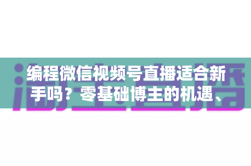 编程微信视频号直播适合新手吗?零基础博主的机遇、挑战与实战全指南 编程微信视频号直播适合新手吗?零基础博主的机遇、挑战与实战全指南