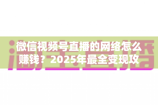 微信视频号直播的网络怎么赚钱？2025年最全变现攻略与新手实战指南