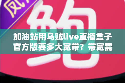 加油站用乌贼live直播盒子官方版要多大宽带？带宽需求全解析与配置指南